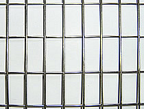wire mesh